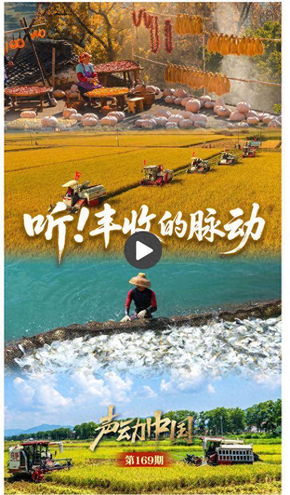 尚竞配资 声动中国｜每一粒丰收，都是时间的诗